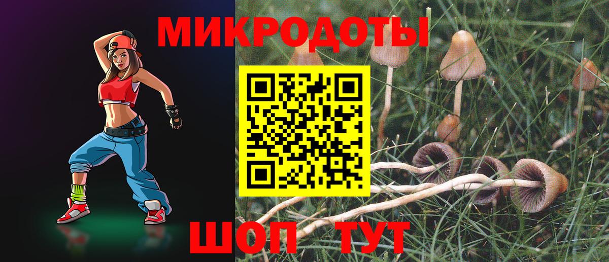 Псилоцибиновые грибы Psilocybine cubensis  Вход с VPN  Братск 