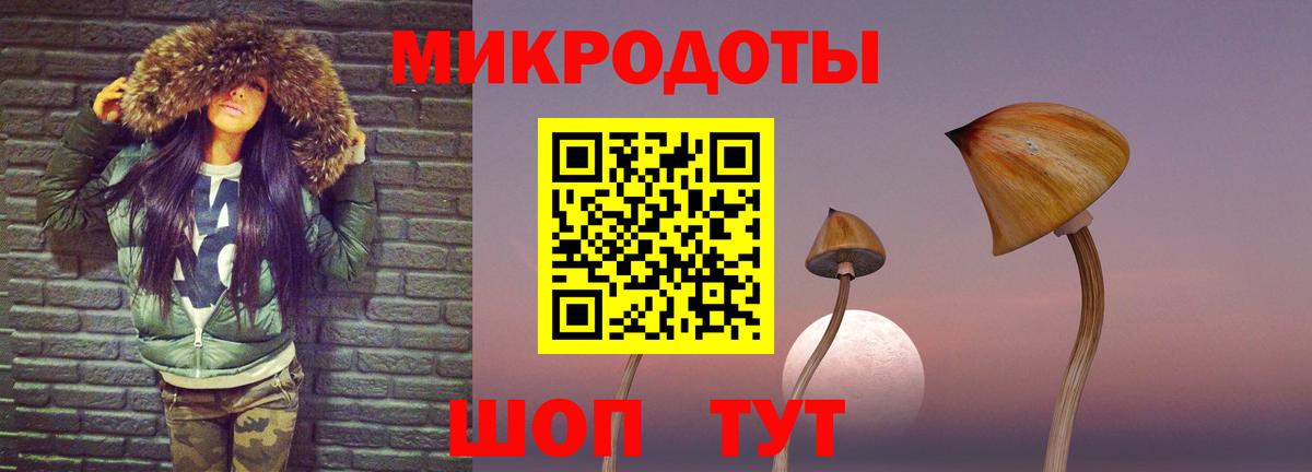 Псилоцибиновые грибы мицелий Братск